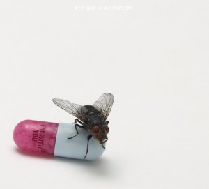 Red Hot Chili Peppers I m With you Artwork