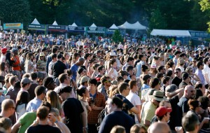 Pubblico del Great Googa Mooga Festival