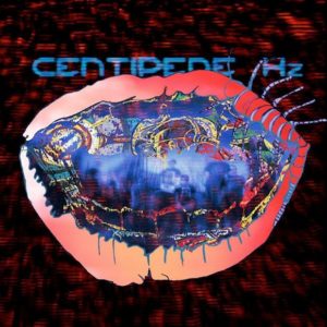 Animal Collective - Centipede Hz - Artwork