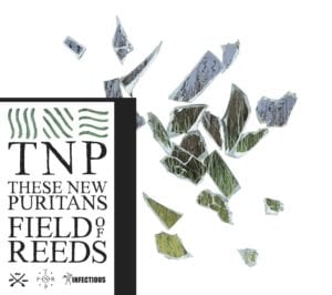 These New Puritans - Field Of Reeds - Artwork
