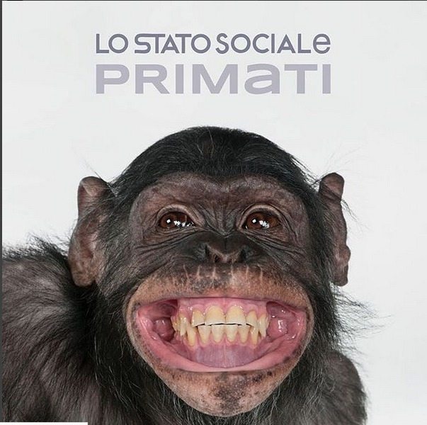 PRIMATI COVER