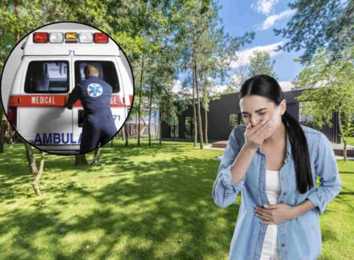 Un aspetto cruciale nella gestione delle punture di insetti è saperle riconoscere.