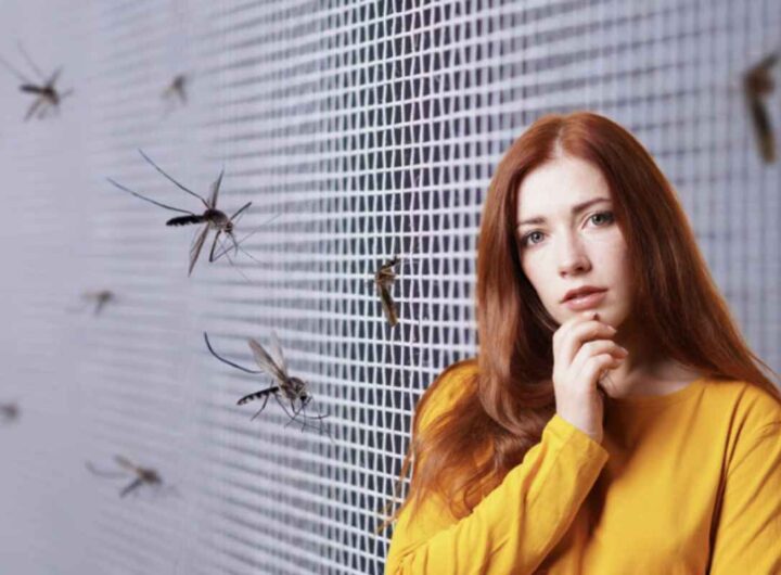 Questi strumenti non solo ci proteggono da insetti indesiderati, ma contribuiscono anche a mantenere la qualità dell'aria