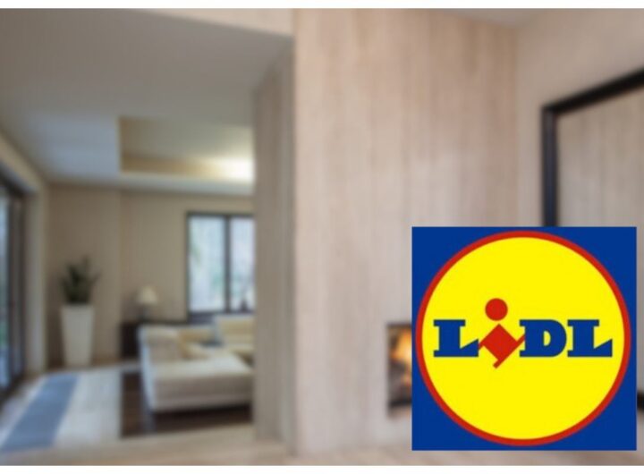 lidl promo casa