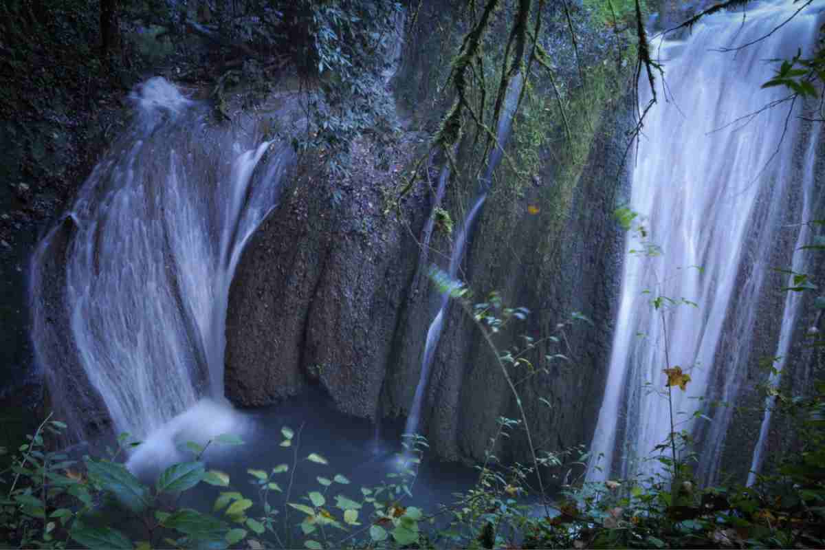 Uno degli aspetti più affascinanti del Parco del Sorbo è la sua biodiversità. Questo ecosistema è abitato da una varietà di specie animali