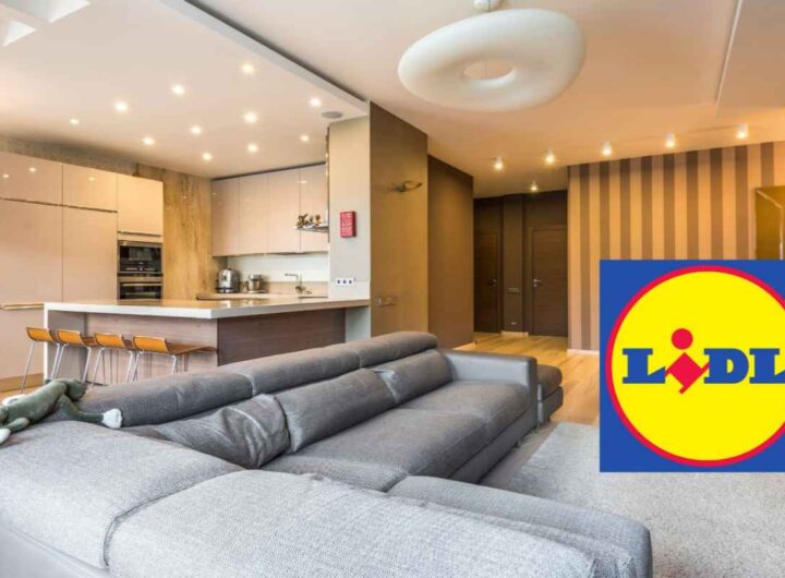 casa lidl