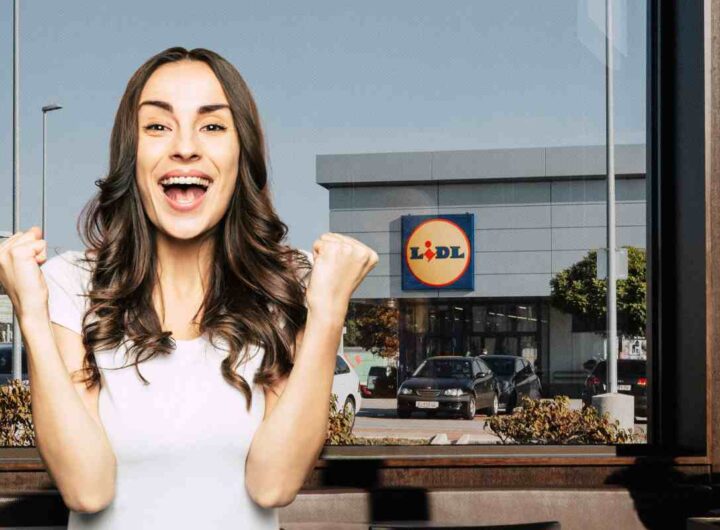 lidl novità bolletta