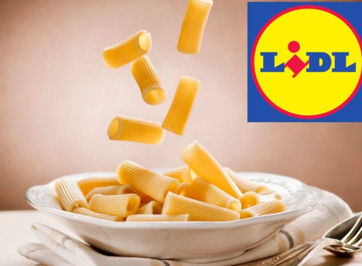 pasta lidl