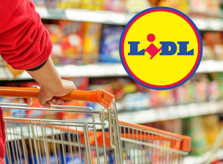 Da LIDL e hai bevande fresche per tutta l'estate ad un costo bassissimo