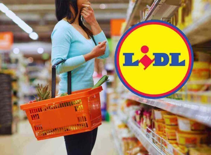 LIDL estate da sogno: 60 euro e hai tutto quello che serve