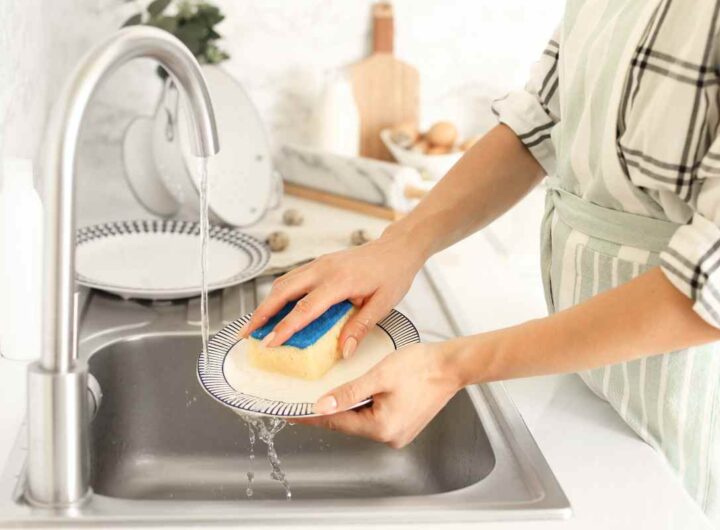 Spugnetta per i piatti, tutti la mettono qui ma i germi proliferano a milioni