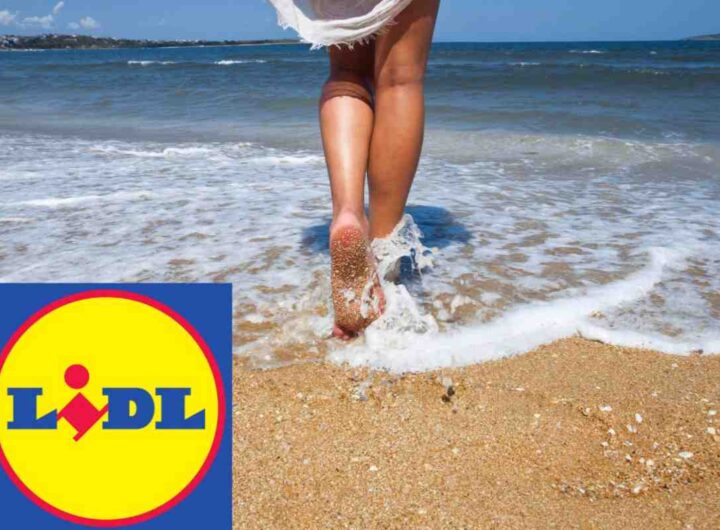 estate lidl