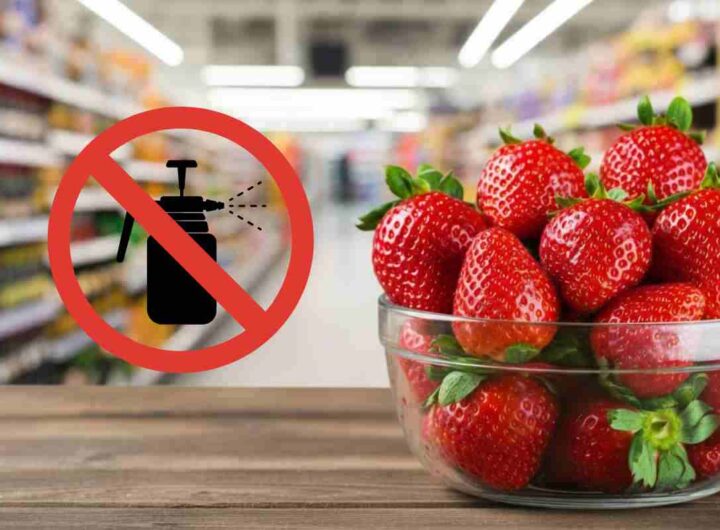 pericolo pesticidi nelle fragole