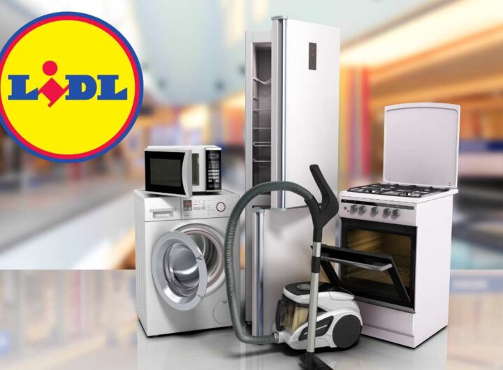 Il nuovo regalo di LIDL per l'estate: prezzo stracciato