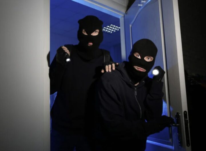 In particolare, nel primo semestre del 2025 si è registrato un incremento del 15% dei furti in casa, con un aumento particolarmente significativo