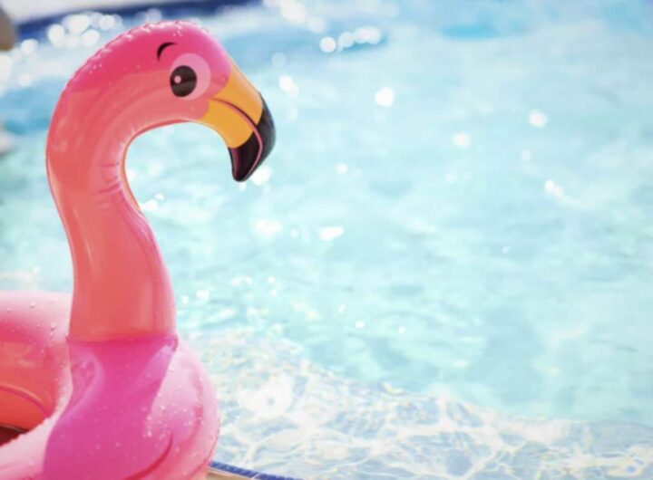 Sempre più diffuse in Italia, queste piscine si distinguono per un design organico e un approccio sostenibile,