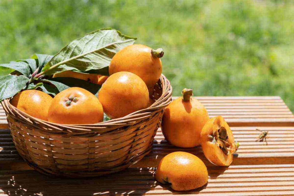 Foglie di nespolo, il rimedio segreto della nonna