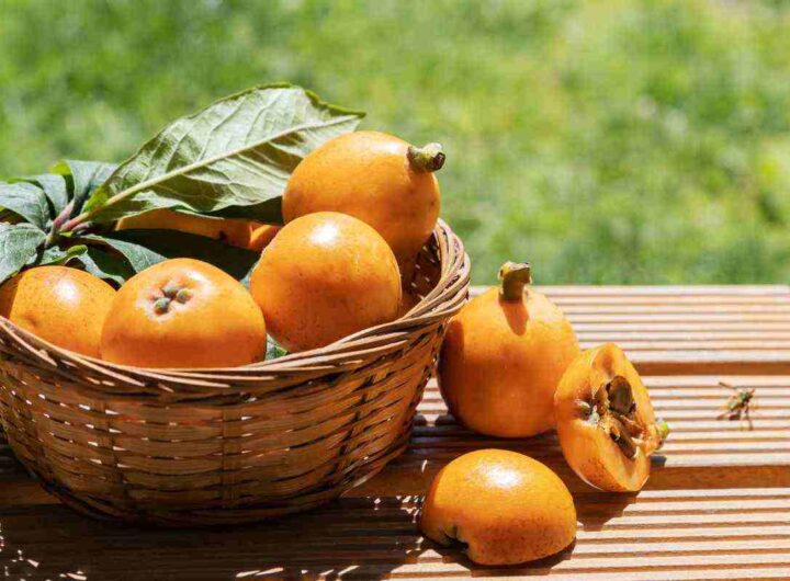 Foglie di nespolo, il rimedio segreto della nonna