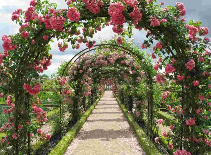 roma giardino di ninfa