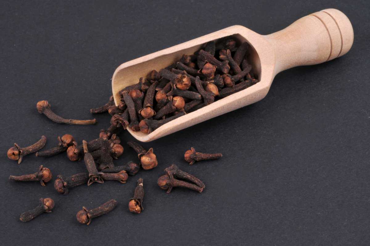 Chiodi garofano