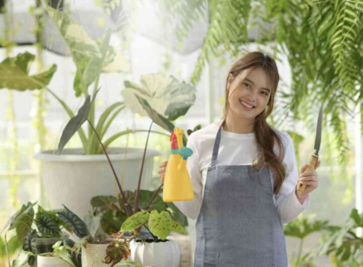 Piantare i fiori giusti in autunno è infatti la chiave per trasformare questi spazi in veri e propri angoli di natura rigogliosa