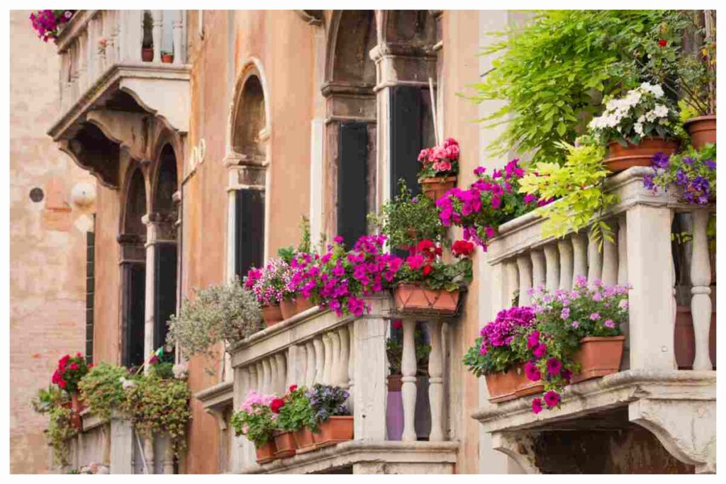 balcone fiorito in inverno
