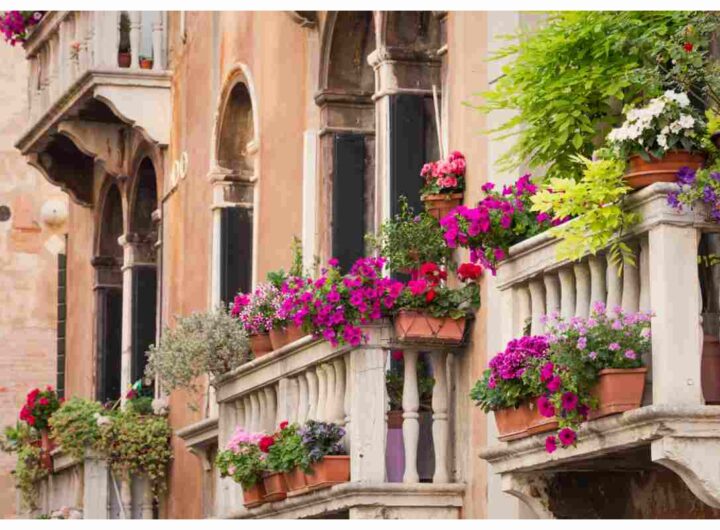 balcone fiorito in inverno