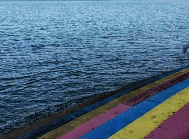 miracolo di jindo: scopri questo fenomeno