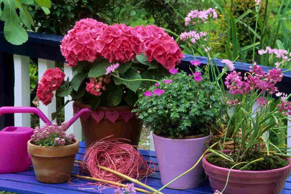 Quali piante attirano i serpenti e sono pericolose?