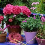 Quali piante attirano i serpenti e sono pericolose?