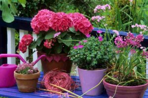 Quali piante attirano i serpenti e sono pericolose?