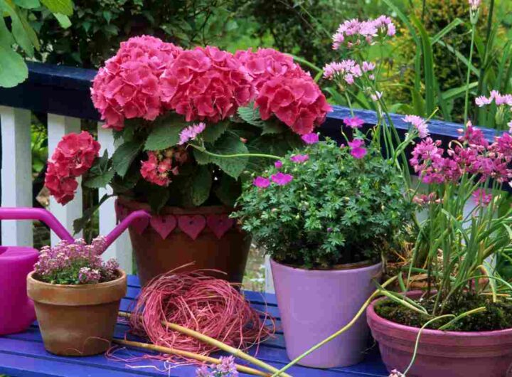 Quali piante attirano i serpenti e sono pericolose?