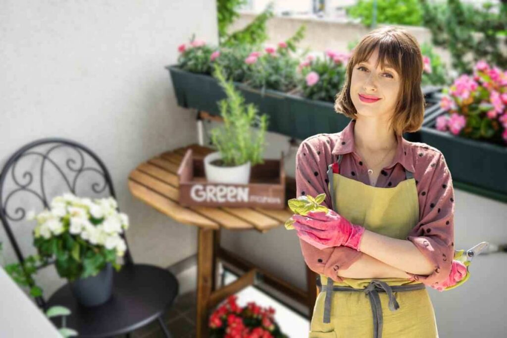 piante invernali decorare balcone