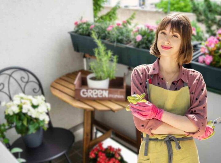 piante invernali decorare balcone
