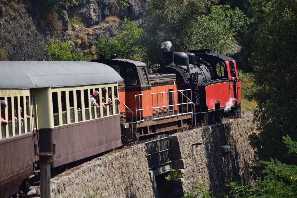 Viaggio lento e piacevole: il treno a vapore Natura