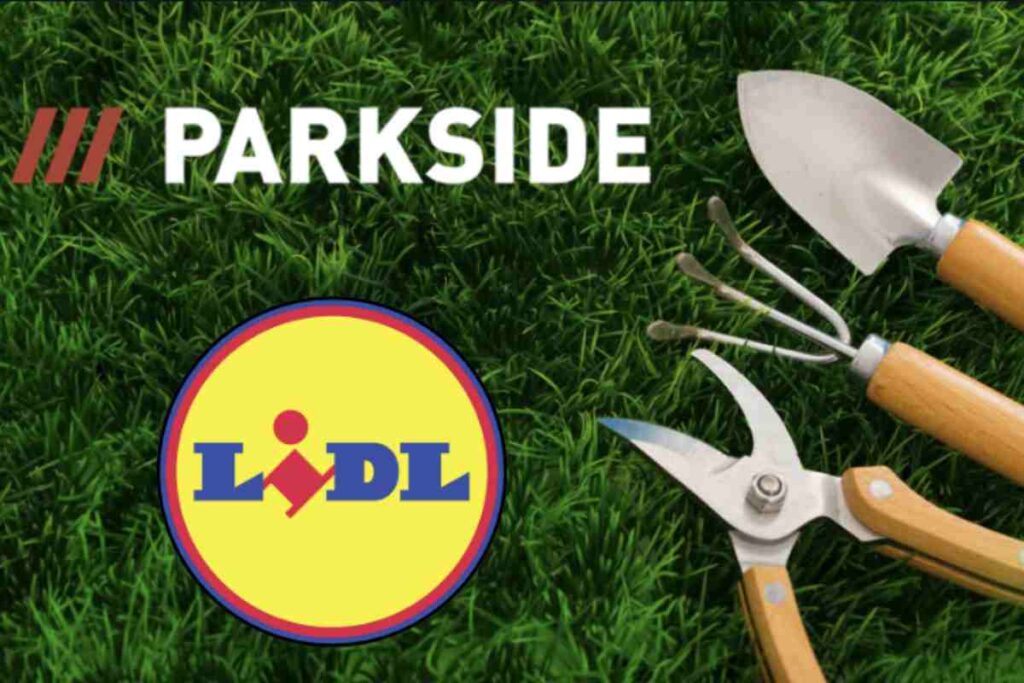 Queste proposte, disponibili nei punti vendita fisici della catena distributiva, rappresentano un’opportunità ideale