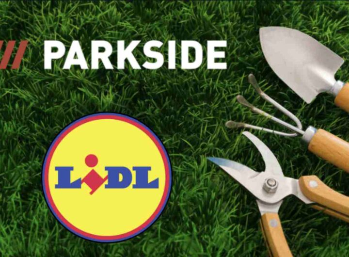 Queste proposte, disponibili nei punti vendita fisici della catena distributiva, rappresentano un’opportunità ideale