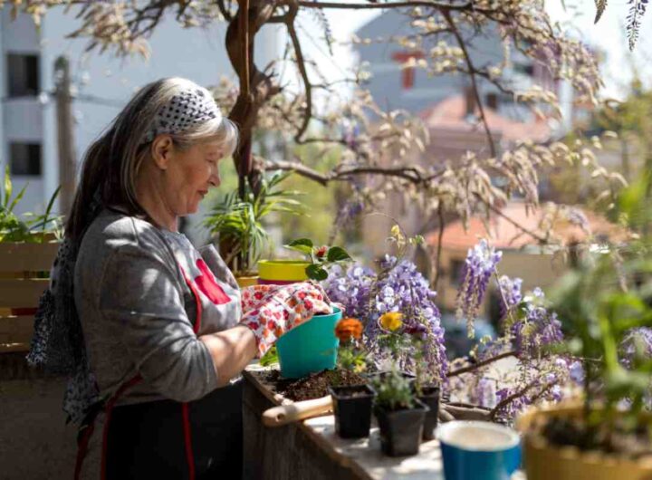 Donna piante balcone