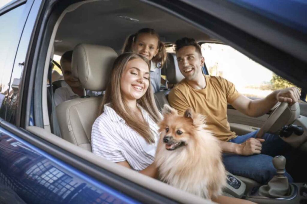 Negli ultimi mesi, si è rafforzato l’interesse verso alcune realtà urbane italiane, meno conosciute ma capaci di garantire un equilibrio ideale tra prezzi accessibili