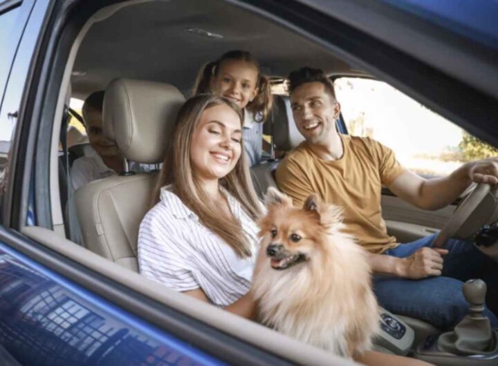 Negli ultimi mesi, si è rafforzato l’interesse verso alcune realtà urbane italiane, meno conosciute ma capaci di garantire un equilibrio ideale tra prezzi accessibili