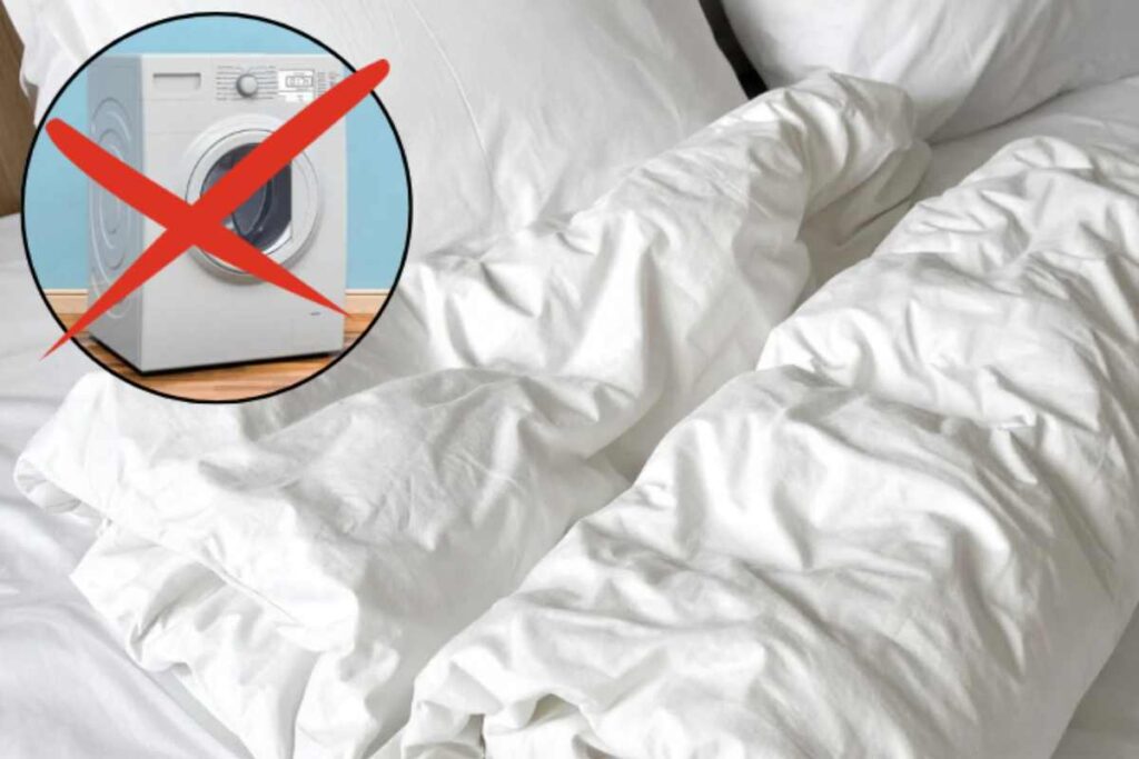 Uno degli aspetti meno piacevoli dell’utilizzo del piumone è la sua manutenzione, in particolare il lavaggio, che spesso si presenta