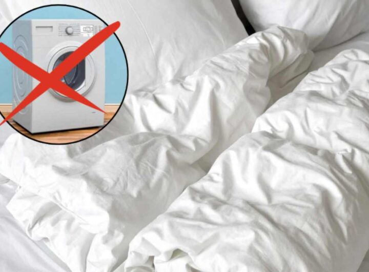 Uno degli aspetti meno piacevoli dell’utilizzo del piumone è la sua manutenzione, in particolare il lavaggio, che spesso si presenta