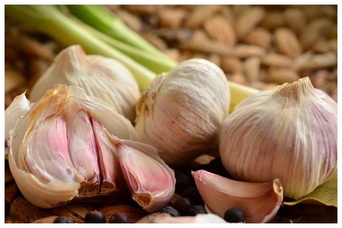 aglio repellente vespe