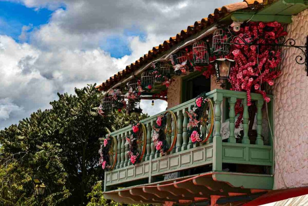 piantina inverno: scorpi la cineria