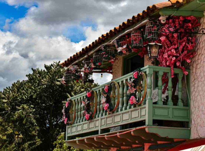 piantina inverno: scorpi la cineria