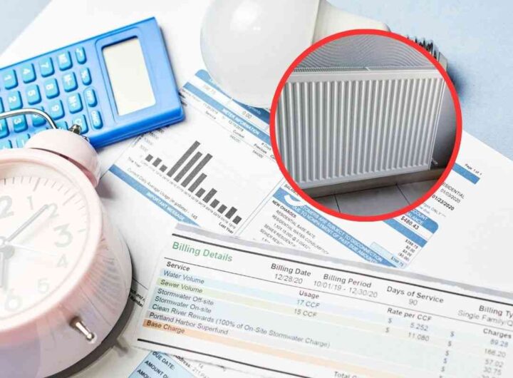 termosifoni accesi tutto i il giorno quanto spend in bolletta?