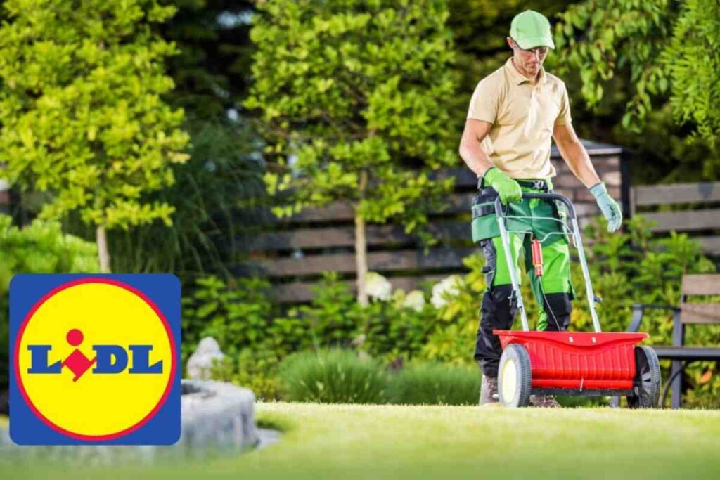 cura giardino lidl