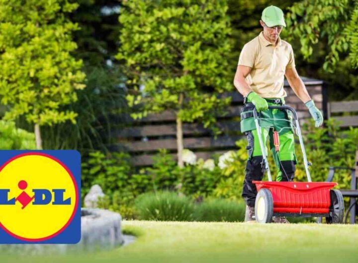 cura giardino lidl