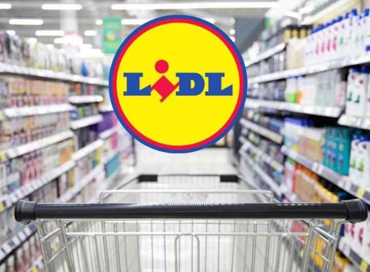Lidl offerte settimanali