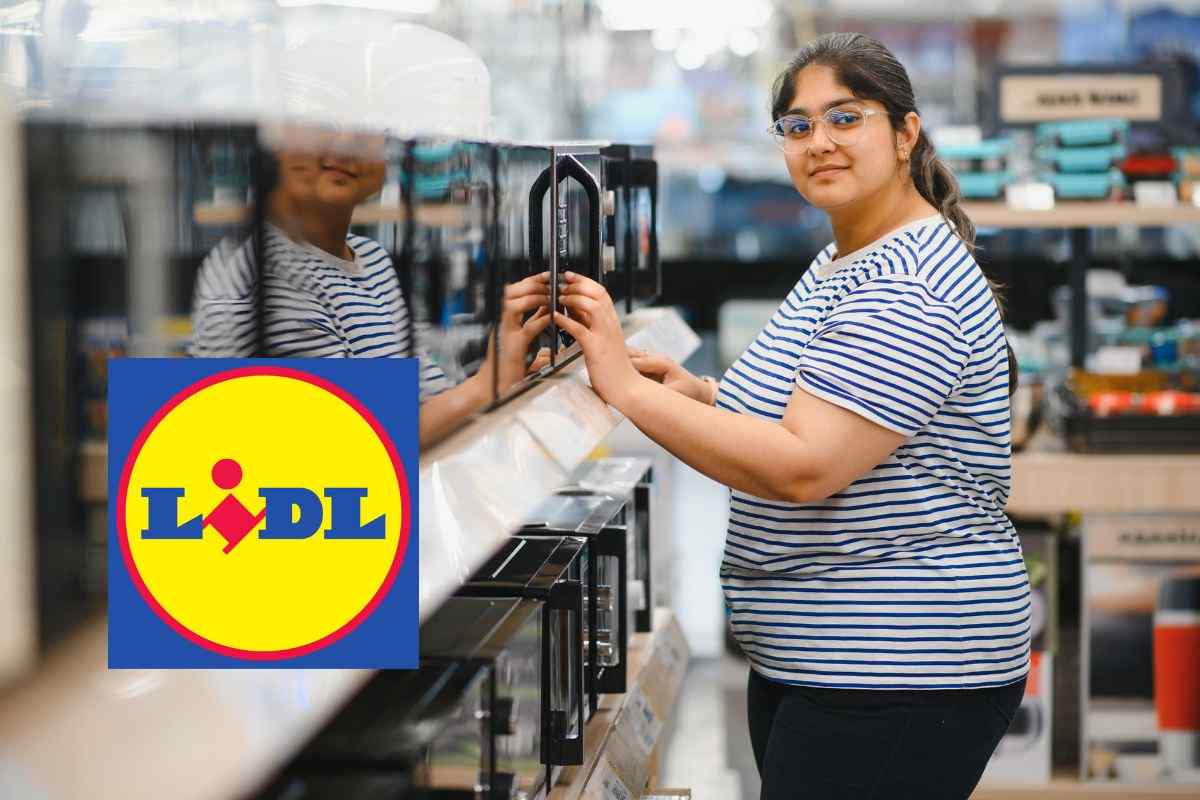 miniforno Lidl, sostituisce forno e friggitrice ad aria